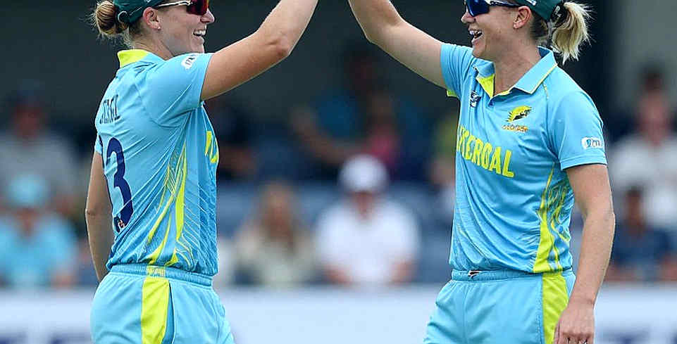 The Empty Ledger: When Cricket's Archive Reads Zero The Empty Ledger: When Cricket's Archive Reads Zero