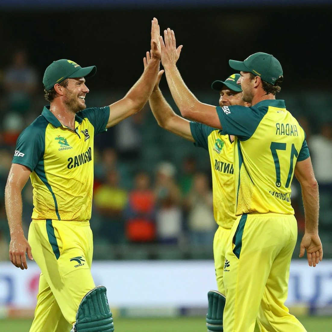 The Integrity of the Empty Payload: A New Ledger of Verification in Cricket Analysis The Integrity of the Empty Payload: A New Ledger of Verification in Cricket Analysis